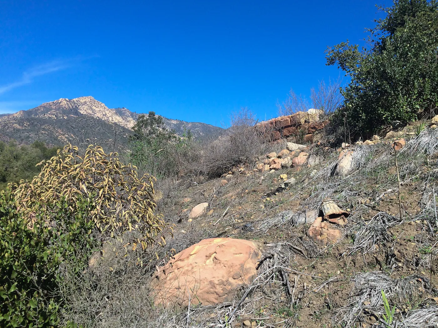 West slope below Pritzlaff Conservation Center