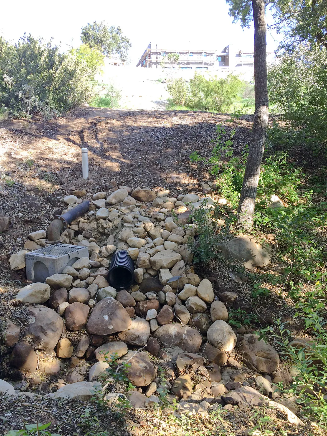 Overflow pipe near Tea House