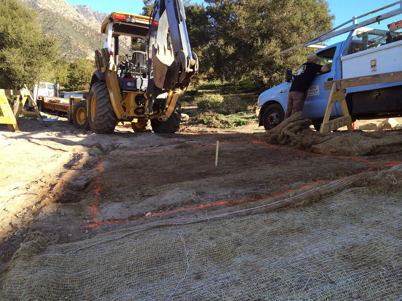 Planting hole location for Island oaks at Pritzlaff Conservation Center