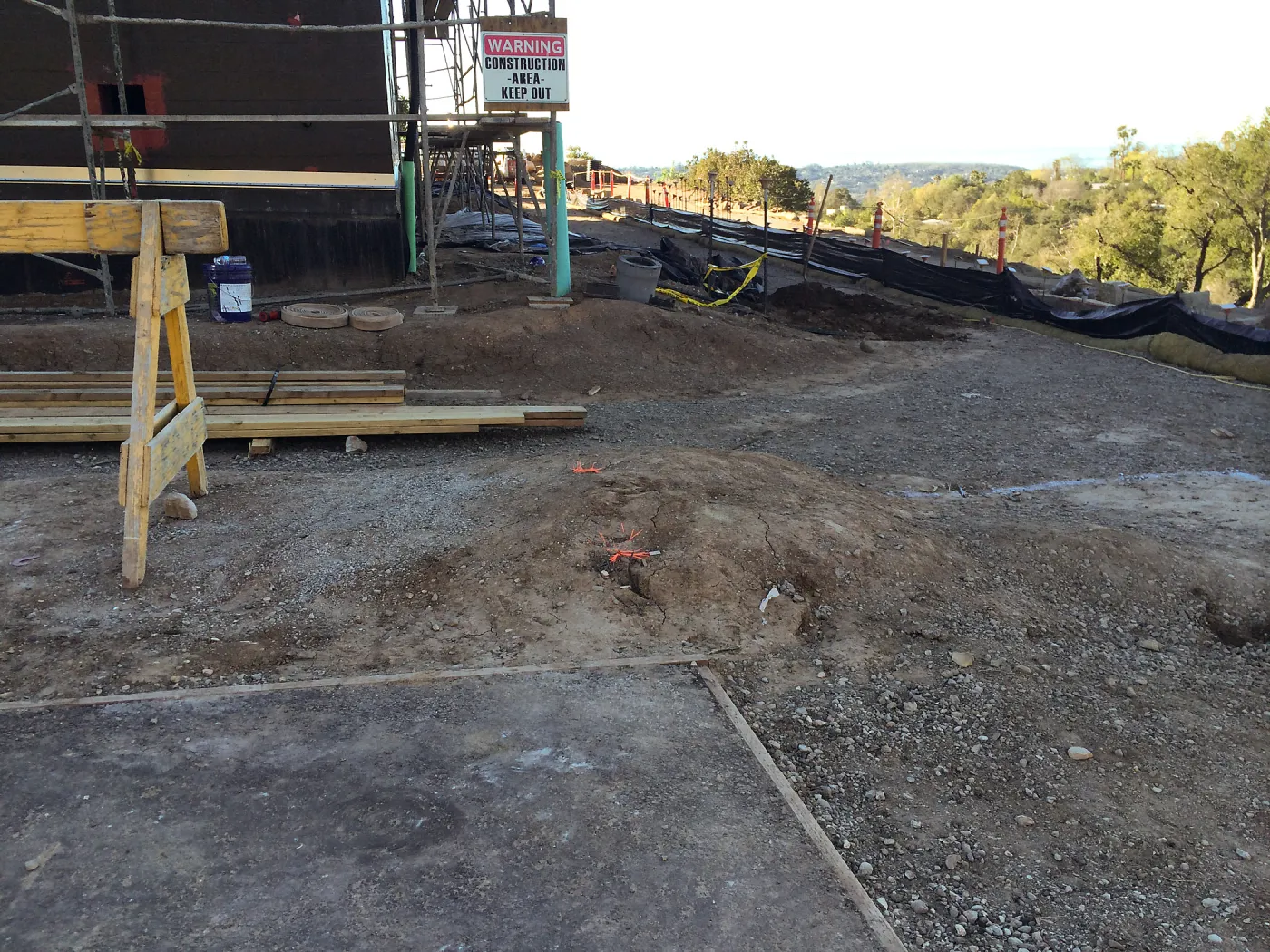 Planting hole location for Island oaks at Pritzlaff Conservation Center
