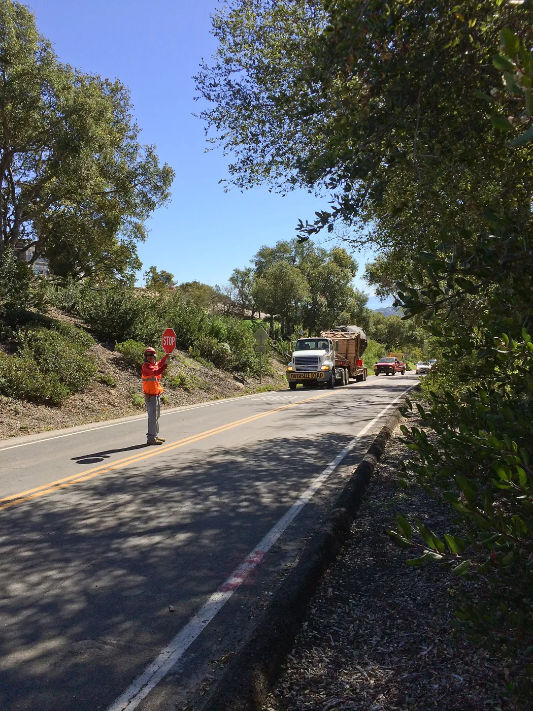 Delivery of Island Oaks at Prtizlaff Conservation Center