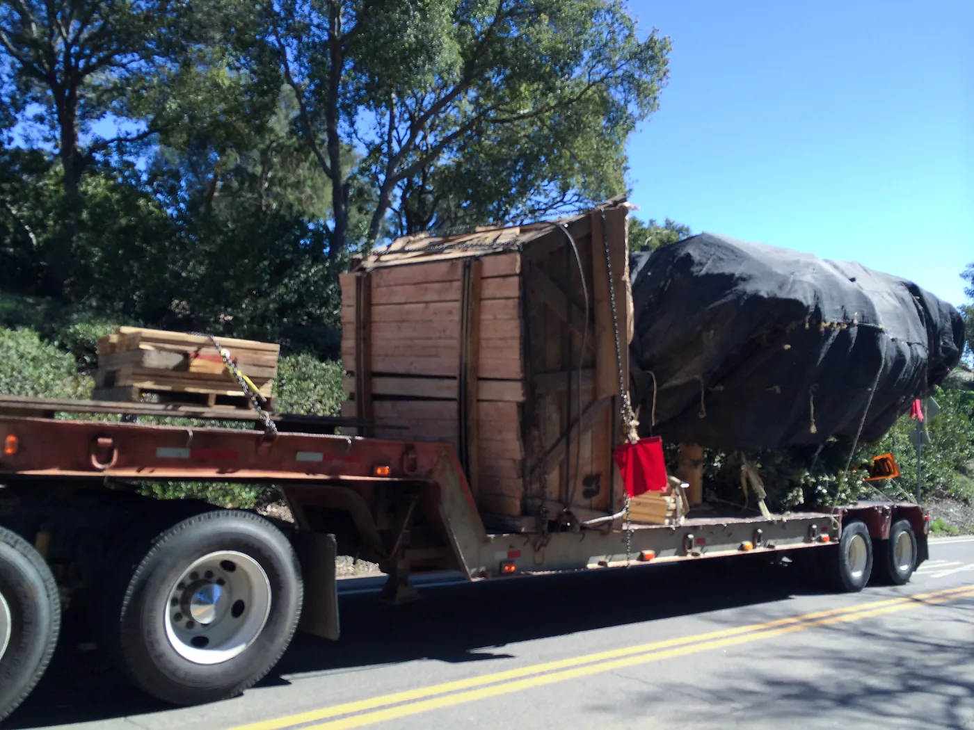Delivery of Island Oaks at Prtizlaff Conservation Center