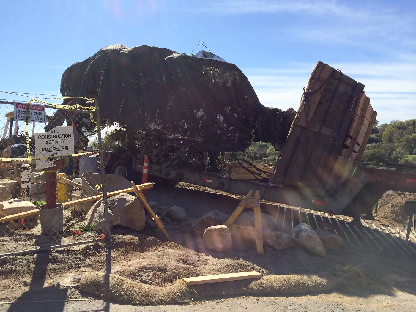 Delivery of Island Oaks at Prtizlaff Conservation Center