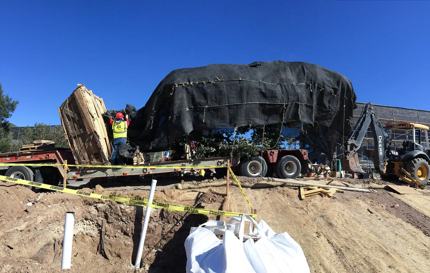 Delivery of Island Oaks at Prtizlaff Conservation Center
