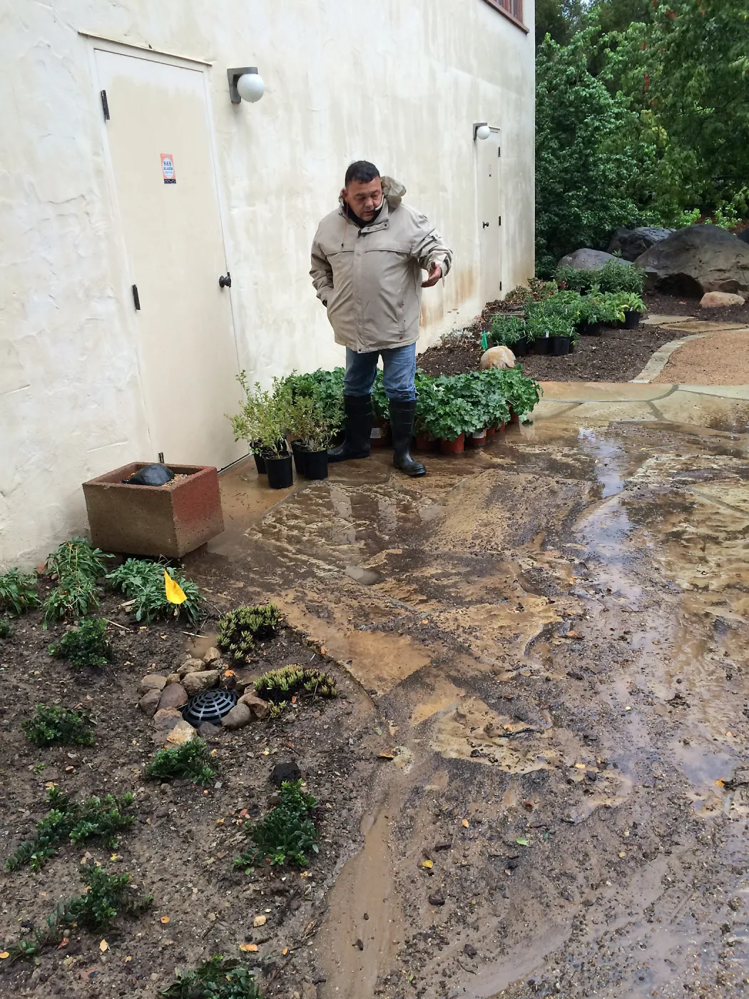 Jim Lechuga inspecting damage to Water Wise Home Demonstration Garden during installation