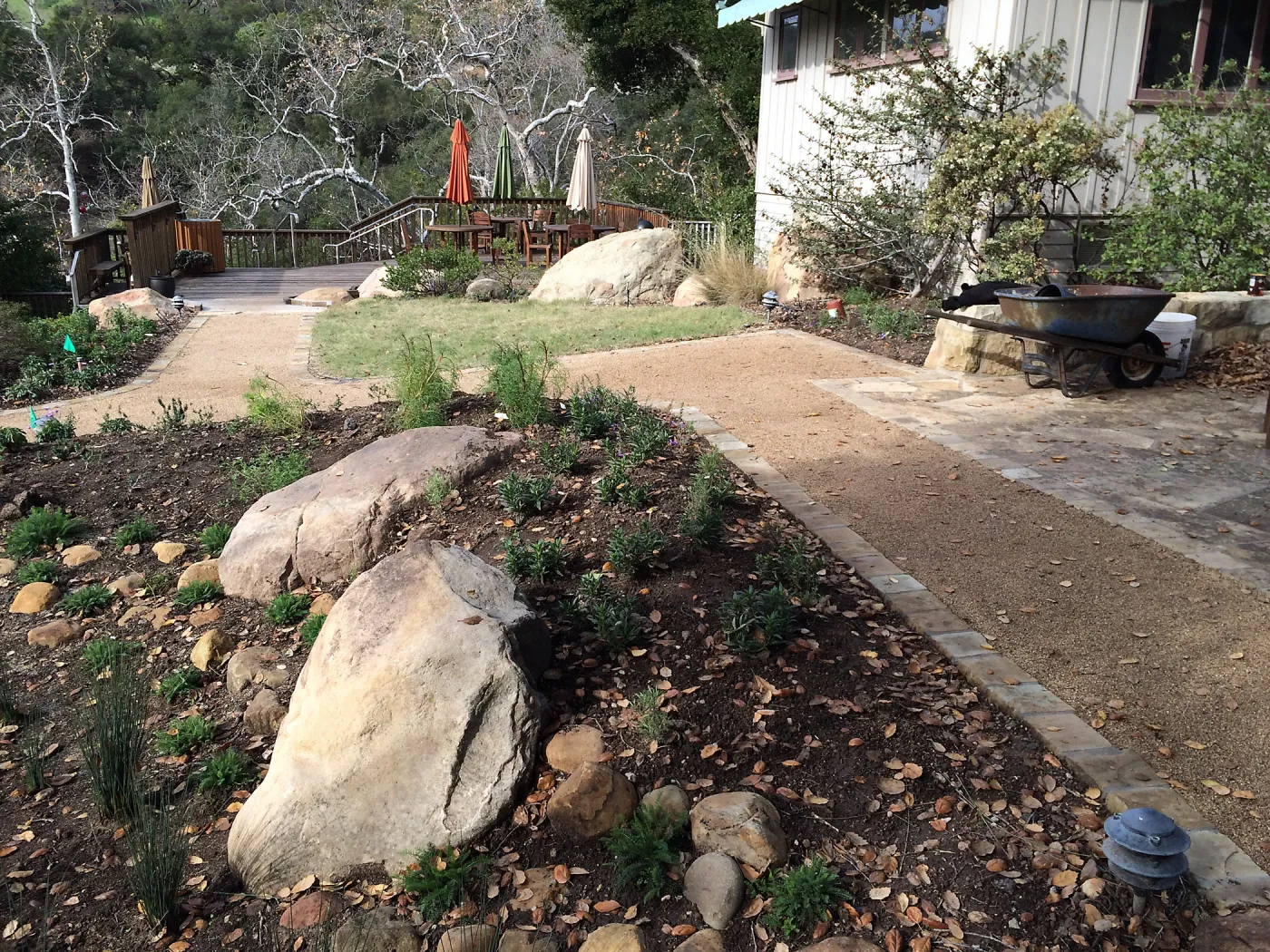 First plantings at Water Wise Home Garden