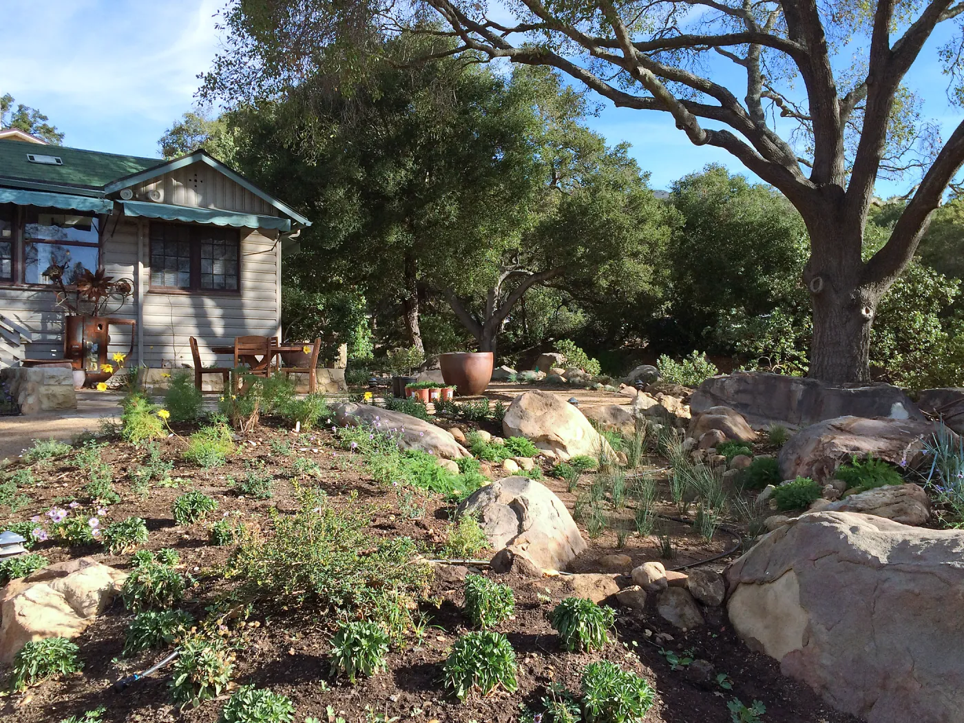 Initial planting at Water Wise Home Garden