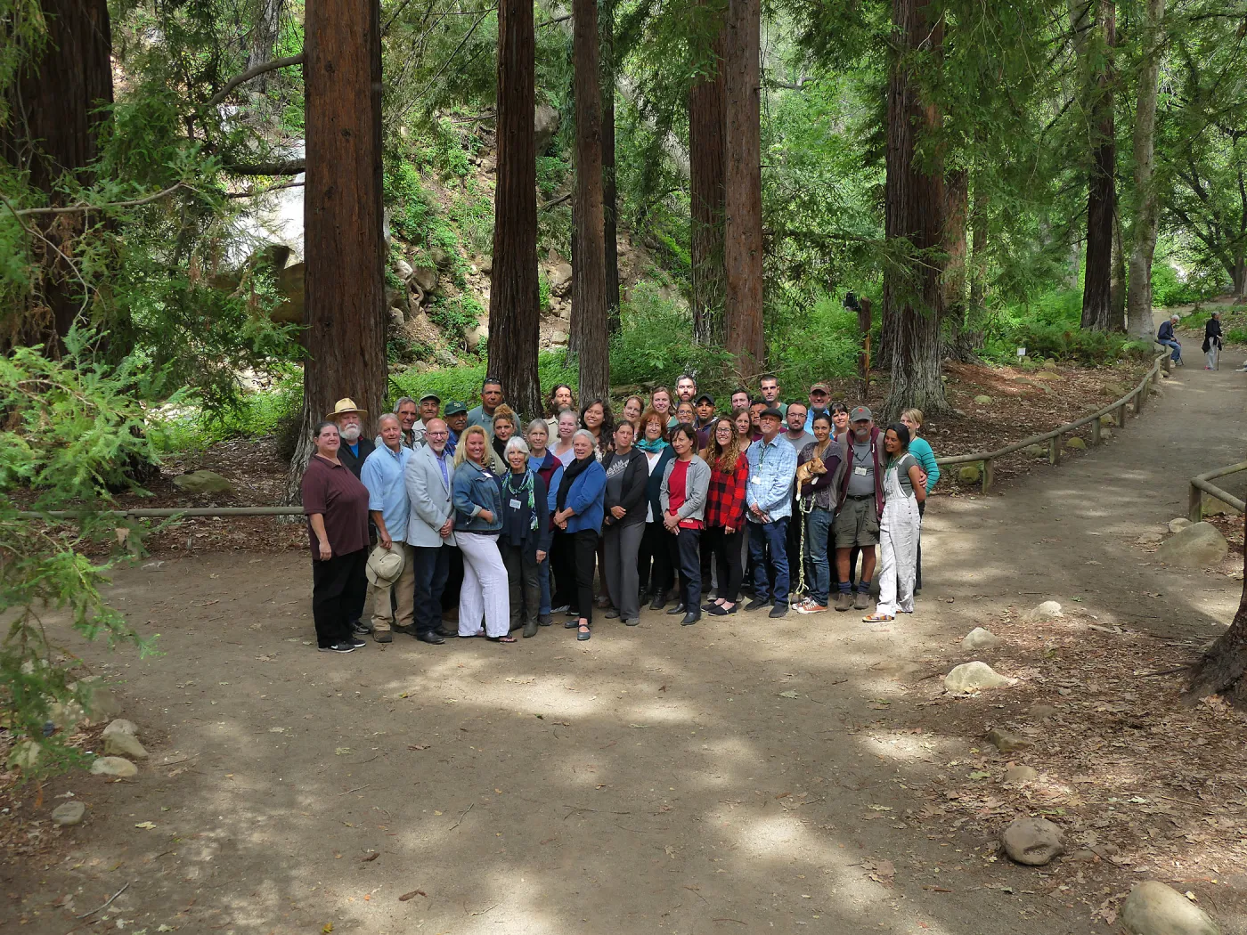 Staff portrait in the Redwood Section (Coast Redwood)