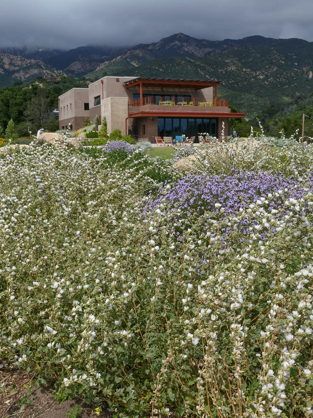 Pritzlaff Conservation Center and Island View Garden