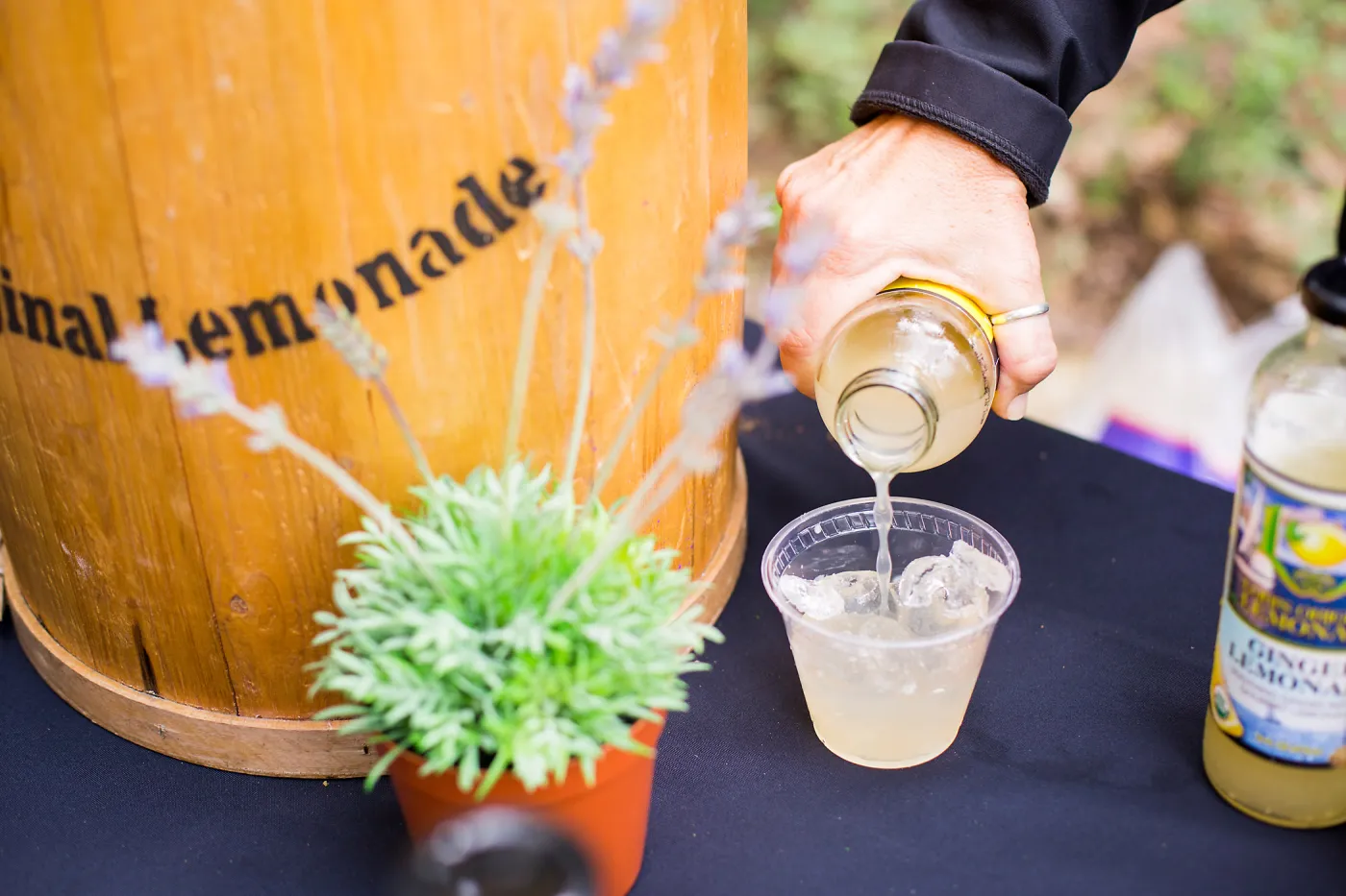 2017 Santa Barbara Beer Garden Event