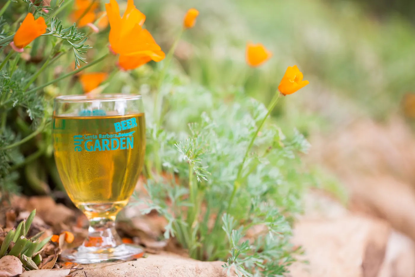 2017 Santa Barbara Beer Garden Event