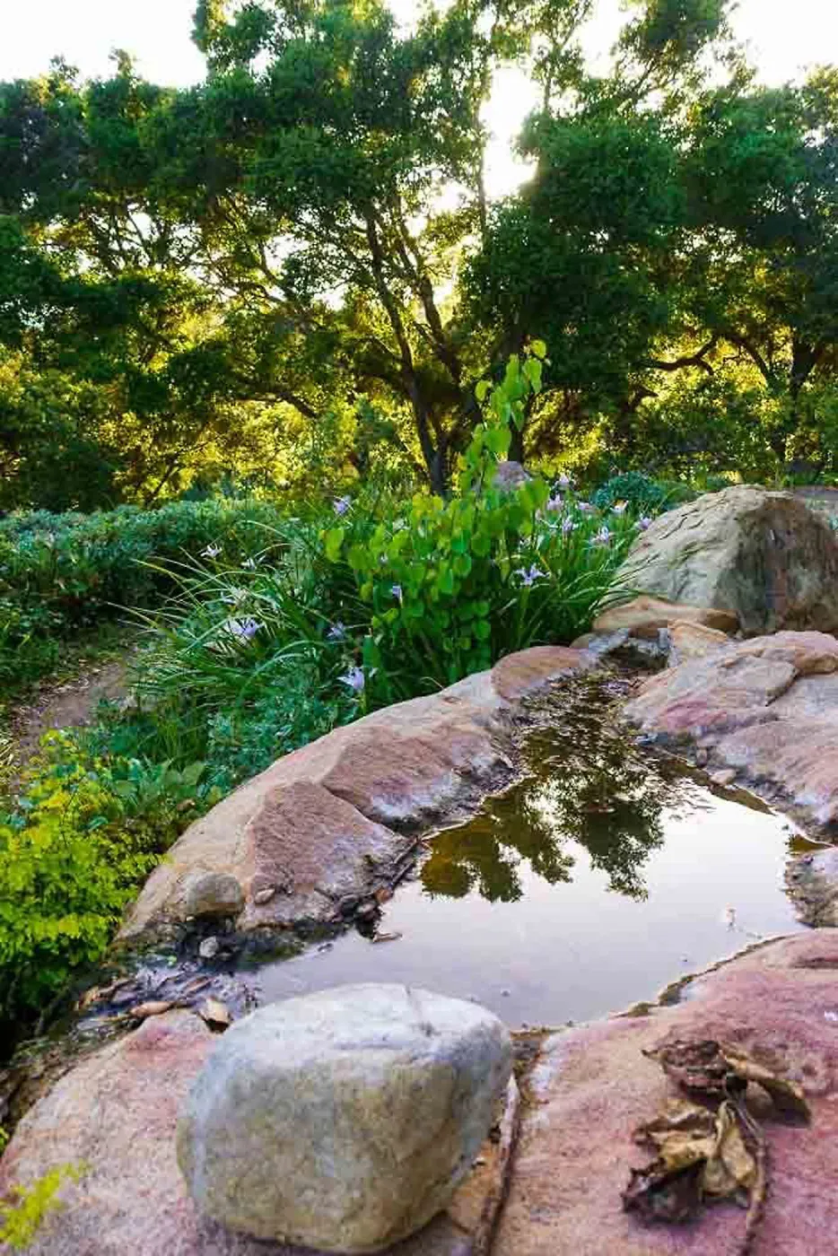 Water-filled rock