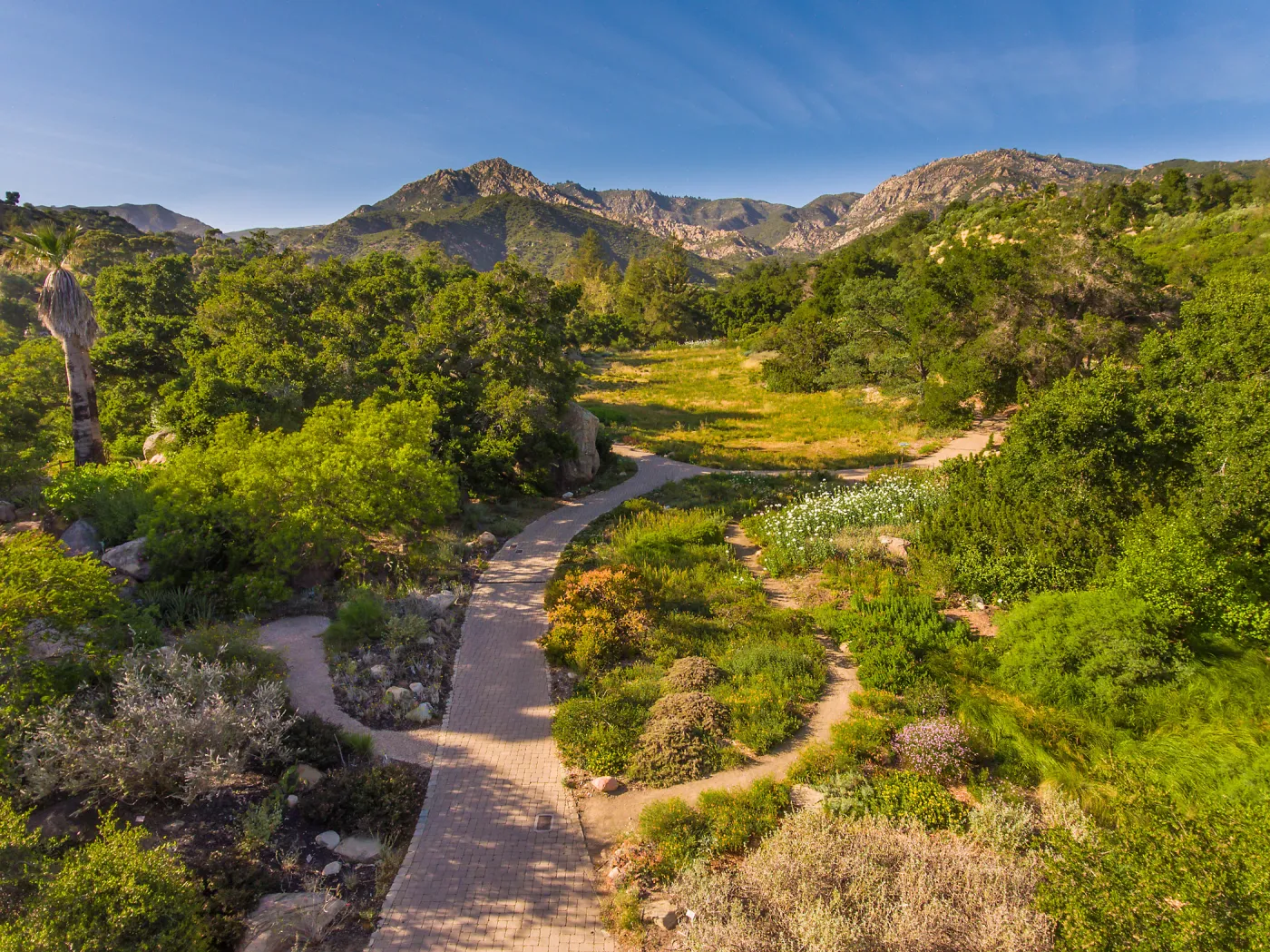 Aerial view of Desert Section, Groundcover Display and Meadow