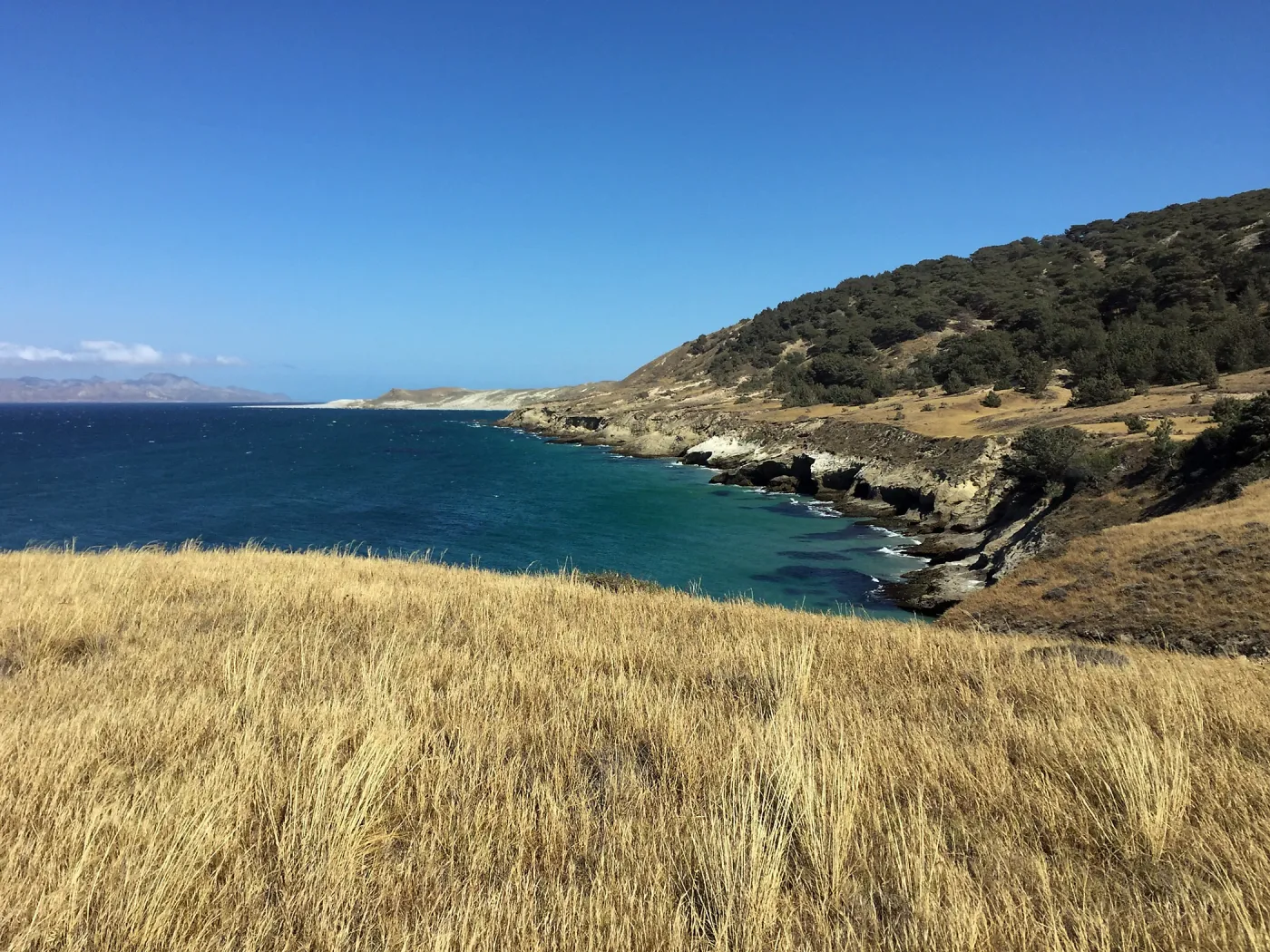 Santa Rosa Island Trip, coast looking towards Torrey Pines