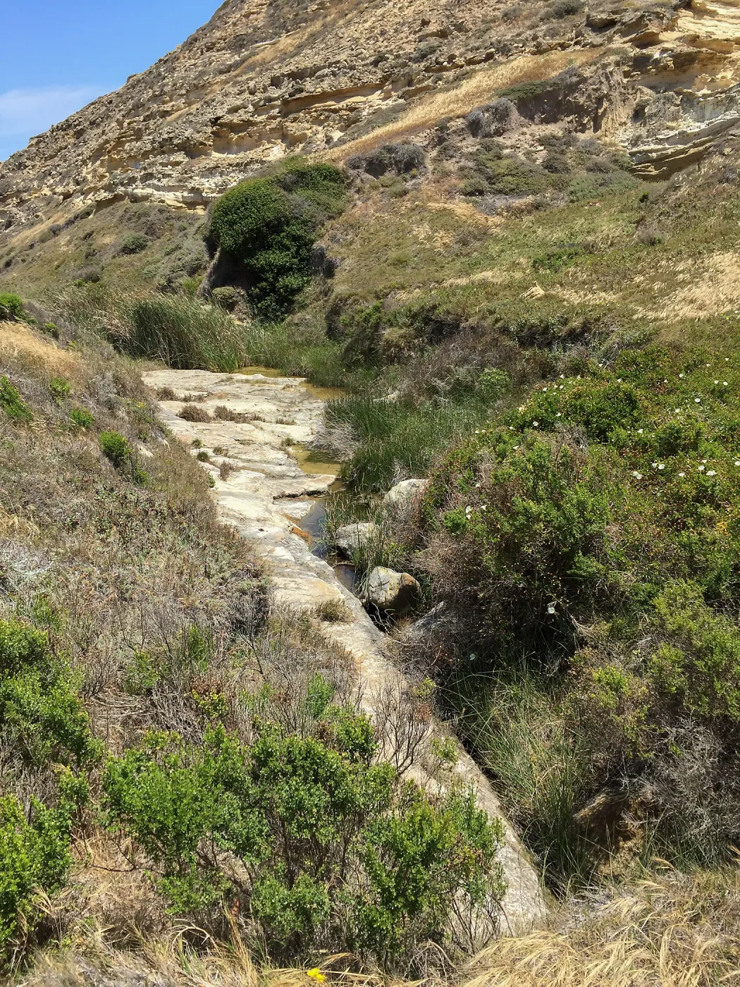 Santa Rosa Island Trip, Lobo Canyon