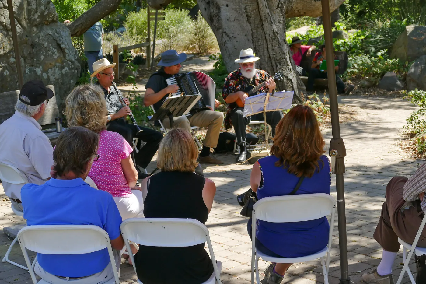Free Seniors Day with music by Long Gone Daddies