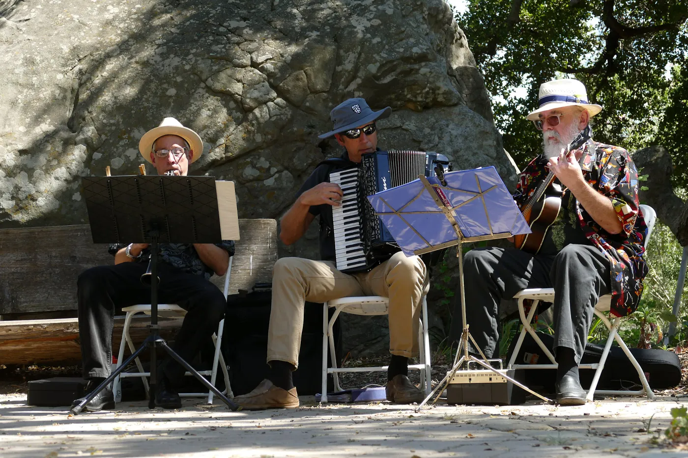 Free Seniors Day with music by Long Gone Daddies