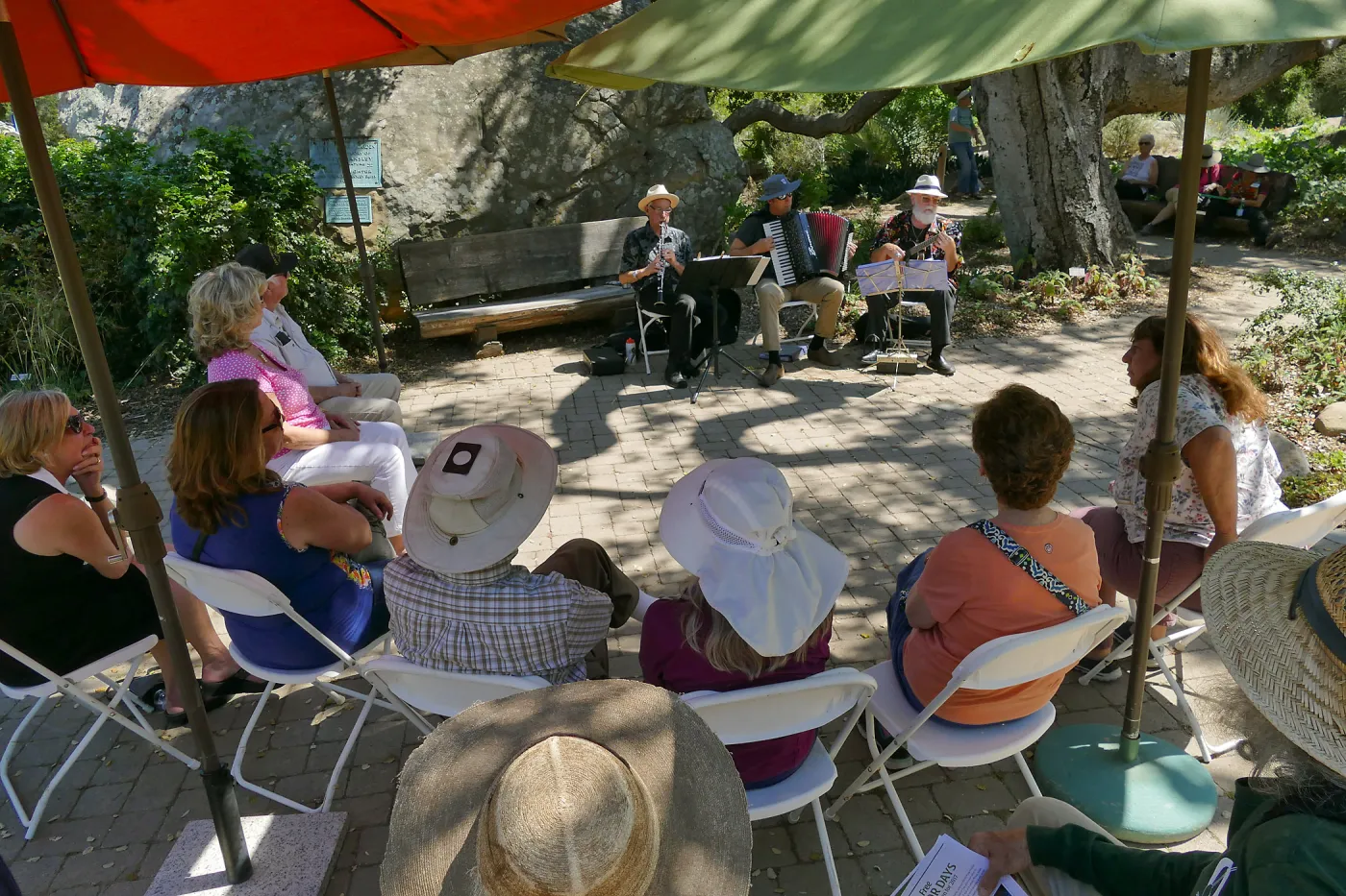 Free Seniors Day with music by Long Gone Daddies