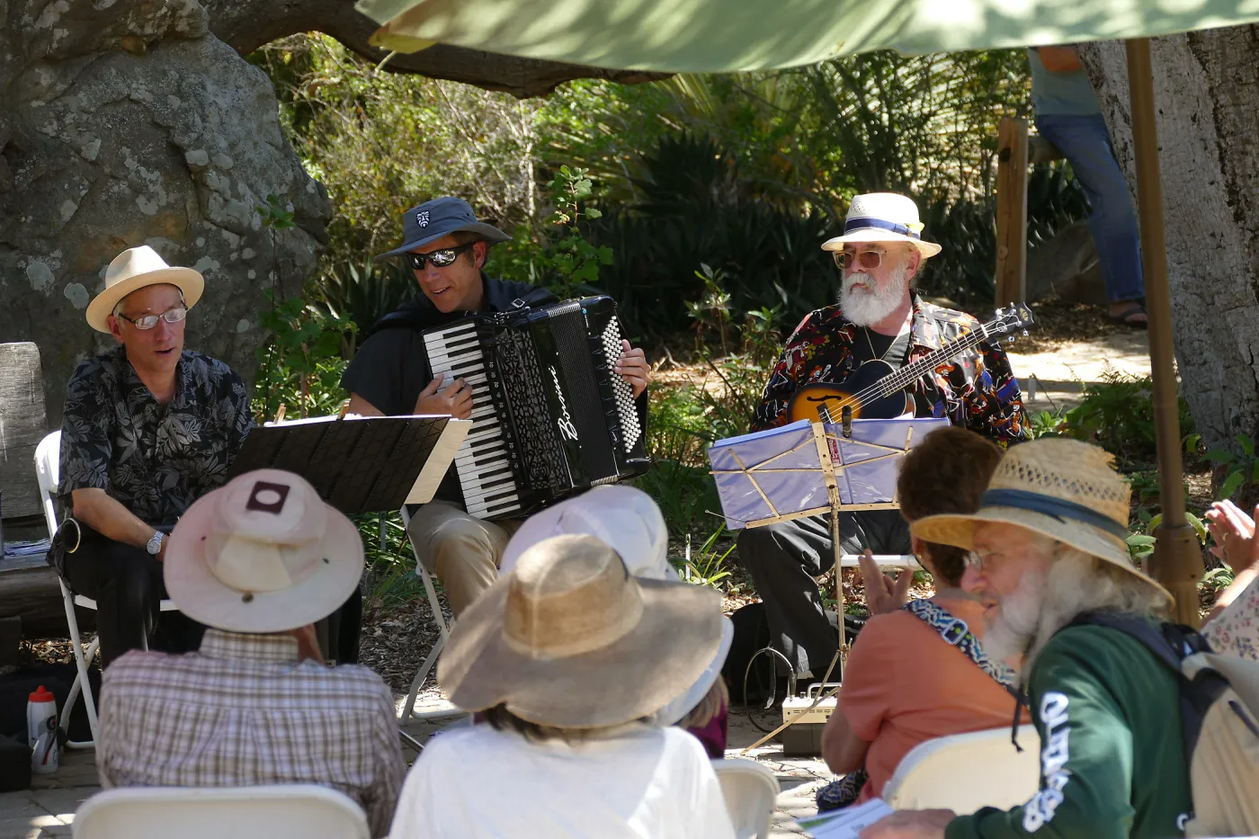 Free Seniors Day with music by Long Gone Daddies