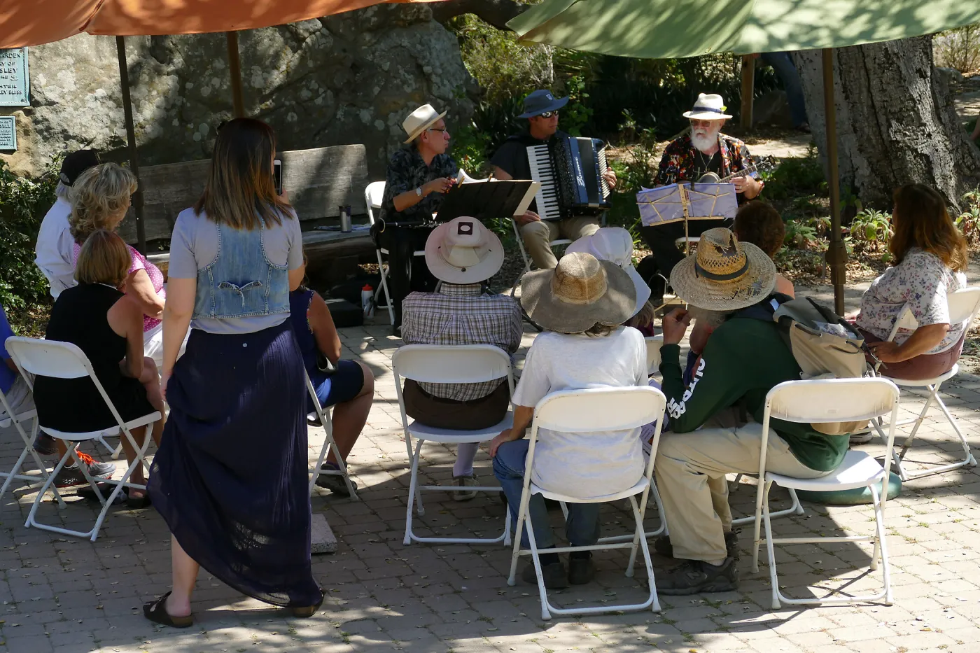 Free Seniors Day with music by Long Gone Daddies