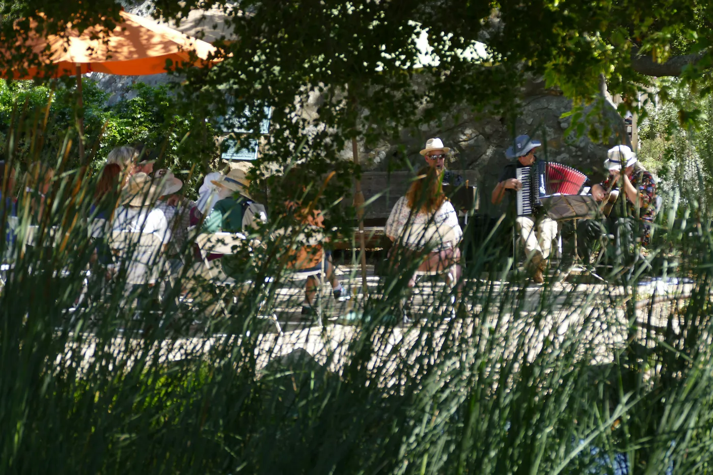 Free Seniors Day with music by Long Gone Daddies