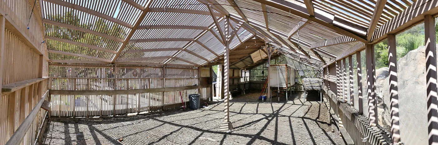 Garden Growers Lath House before start of repairs. Panarama of interior from northeast corner.