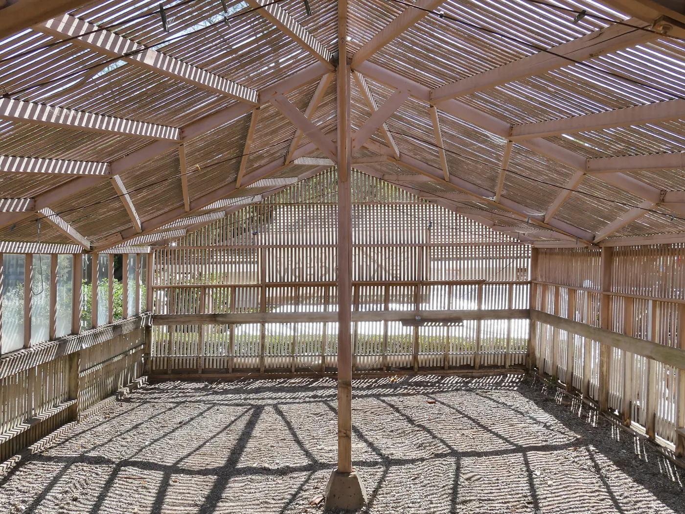 Garden Growers Lath House before start of repairs. Interior looking east.