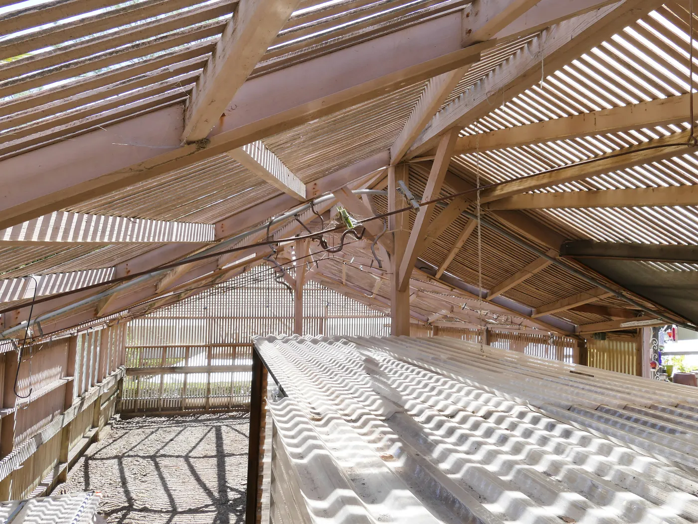 Garden Growers Lath House before start of repairs. Interior view from northwest corner.