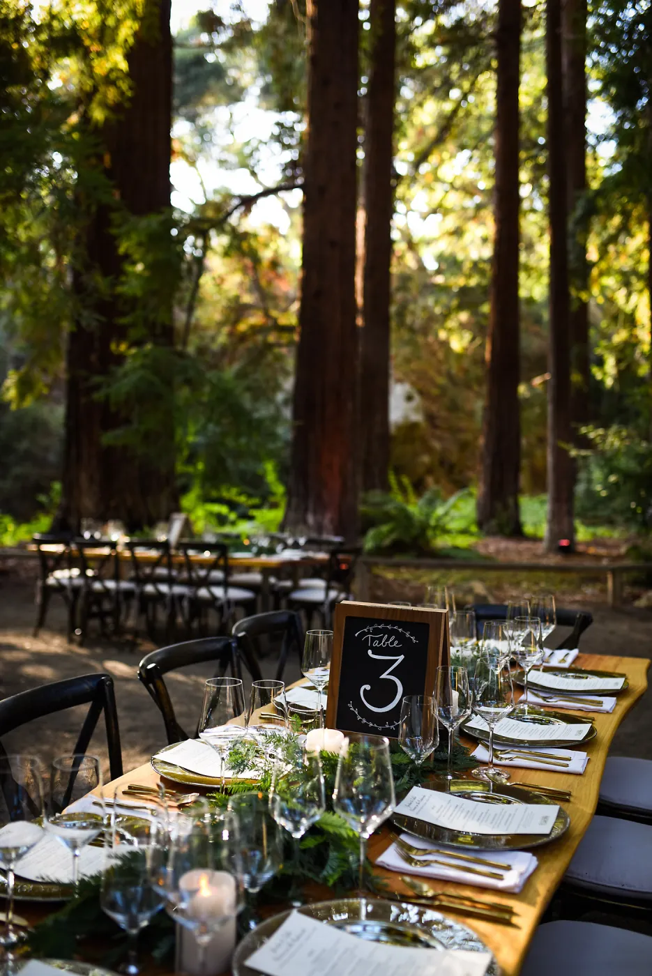 Garden to Table Dinner in the Redwoods 2017