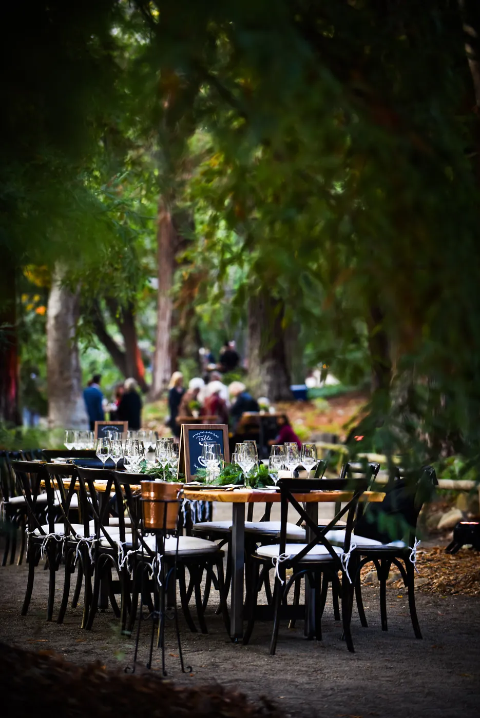 Garden to Table Dinner in the Redwoods 2017