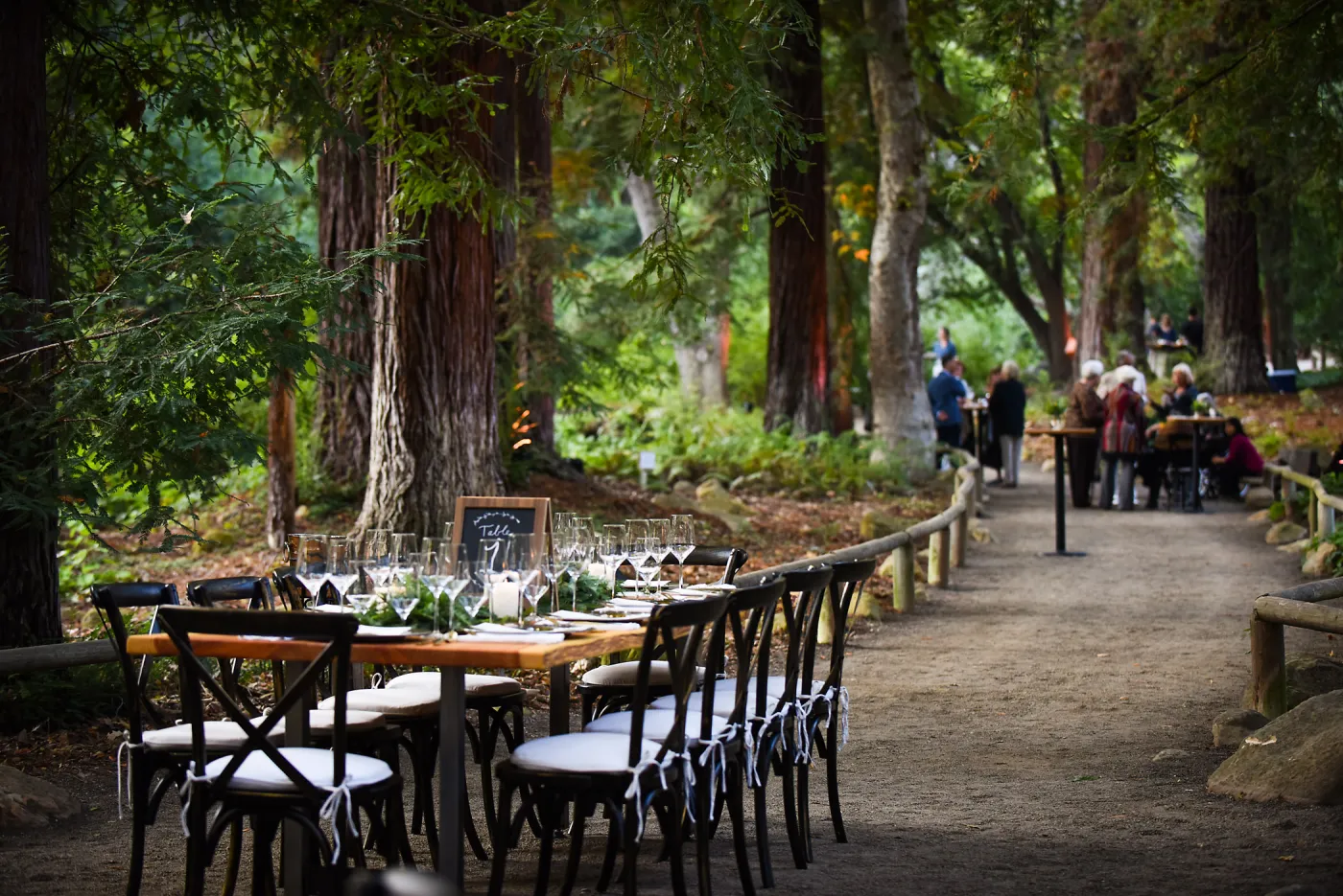 Garden to Table Dinner in the Redwoods 2017