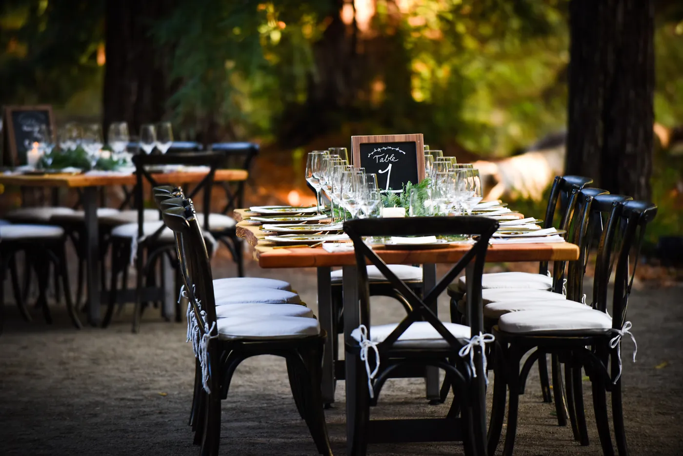 Garden to Table Dinner in the Redwoods 2017