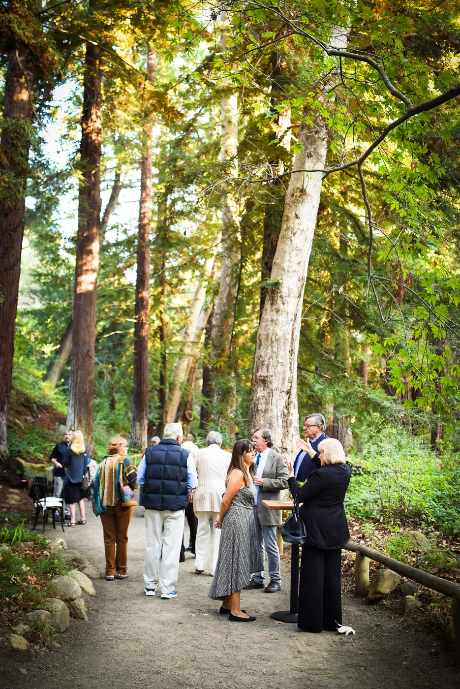 Garden to Table Dinner in the Redwoods 2017