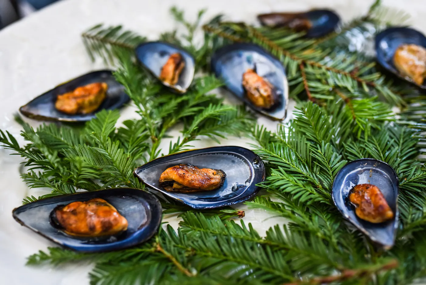 Garden to Table Dinner in the Redwoods 2017, mussel appetizer