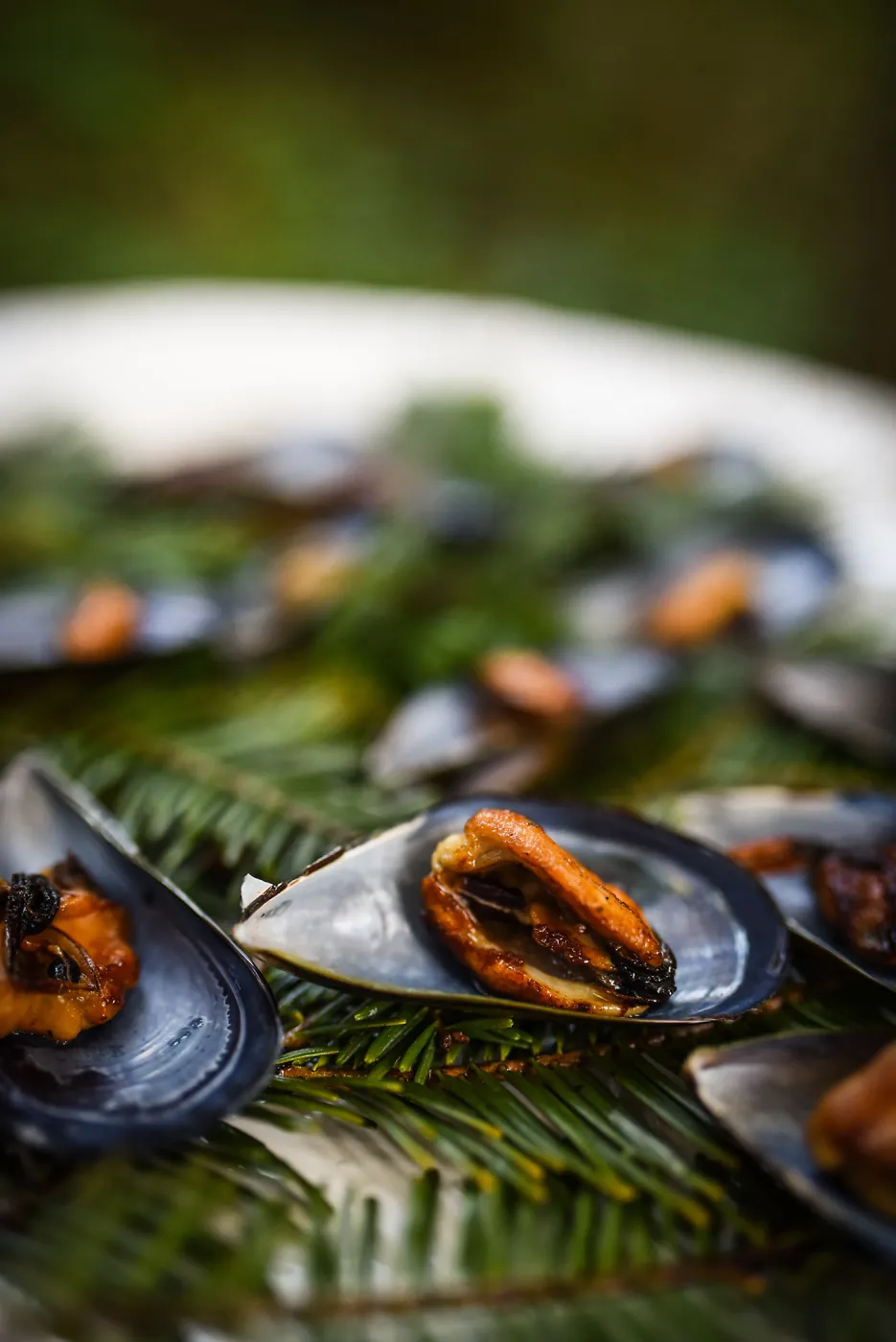 Garden to Table Dinner in the Redwoods 2017, mussel appetizer