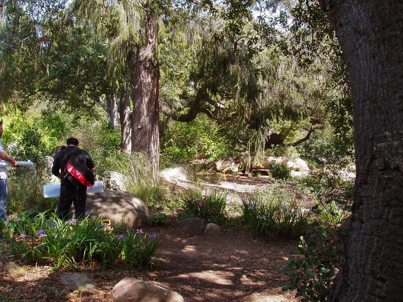Manzanita Section