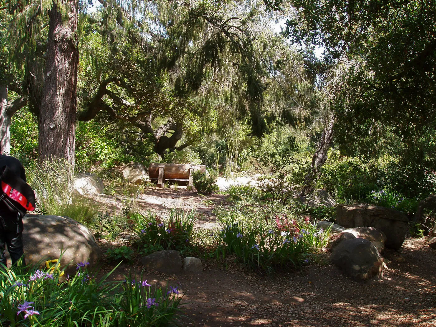 Manzanita Section