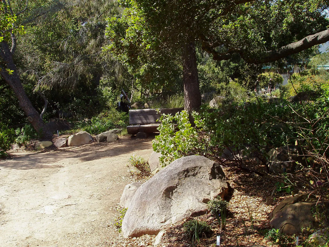 Manzanita Section