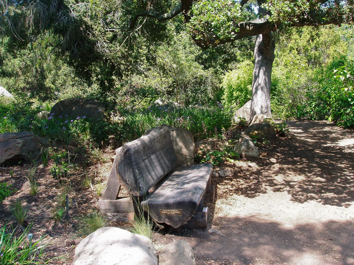 Manzanita Section