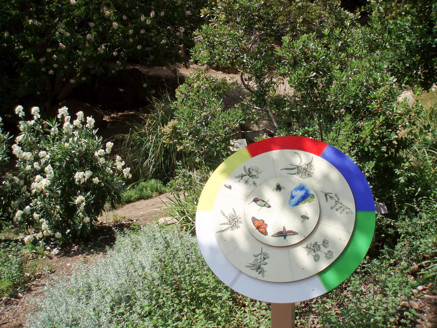 Discovery Garden