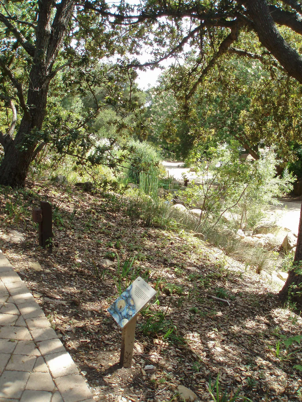 Discovery Garden