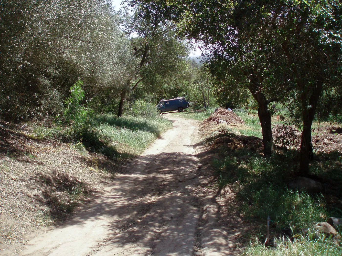 Service road between Gane House and Hansen site