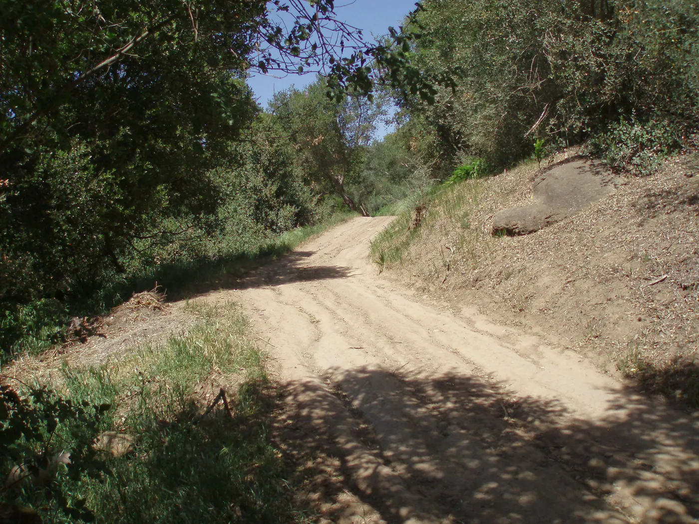 Service road between Gane House and Hansen site