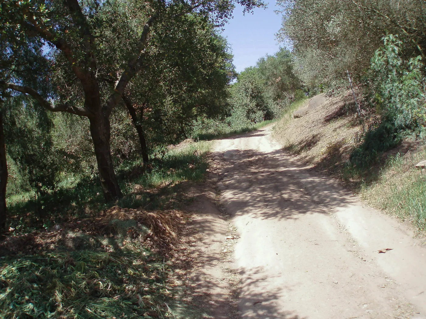 Service road between Gane House and Hansen site