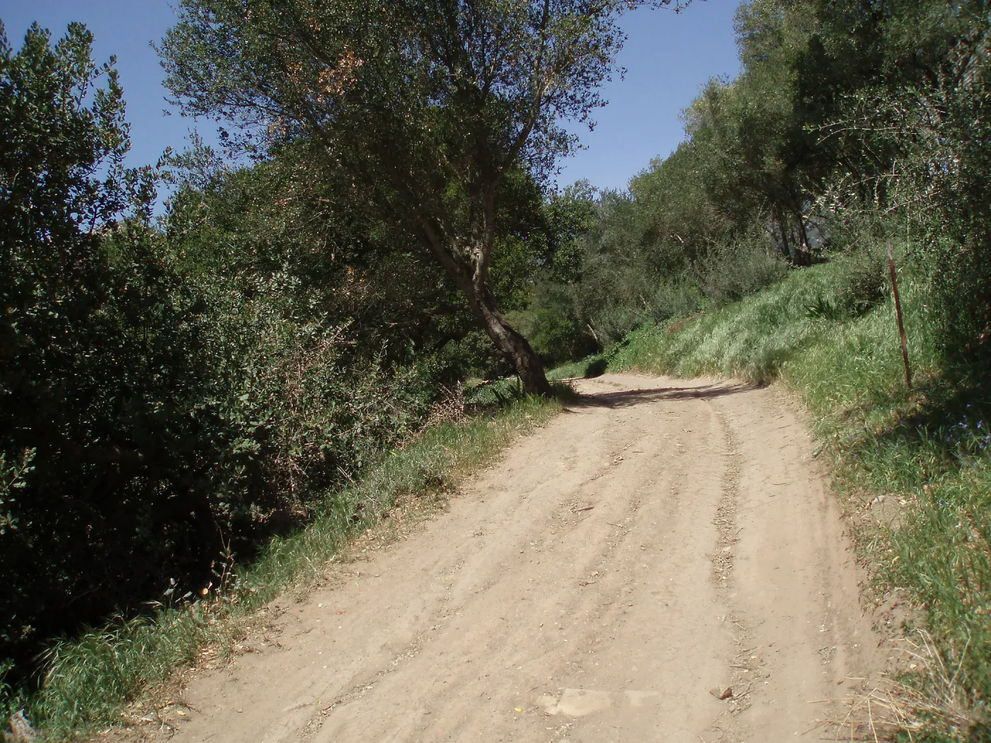 Service road between Gane House and Hansen site