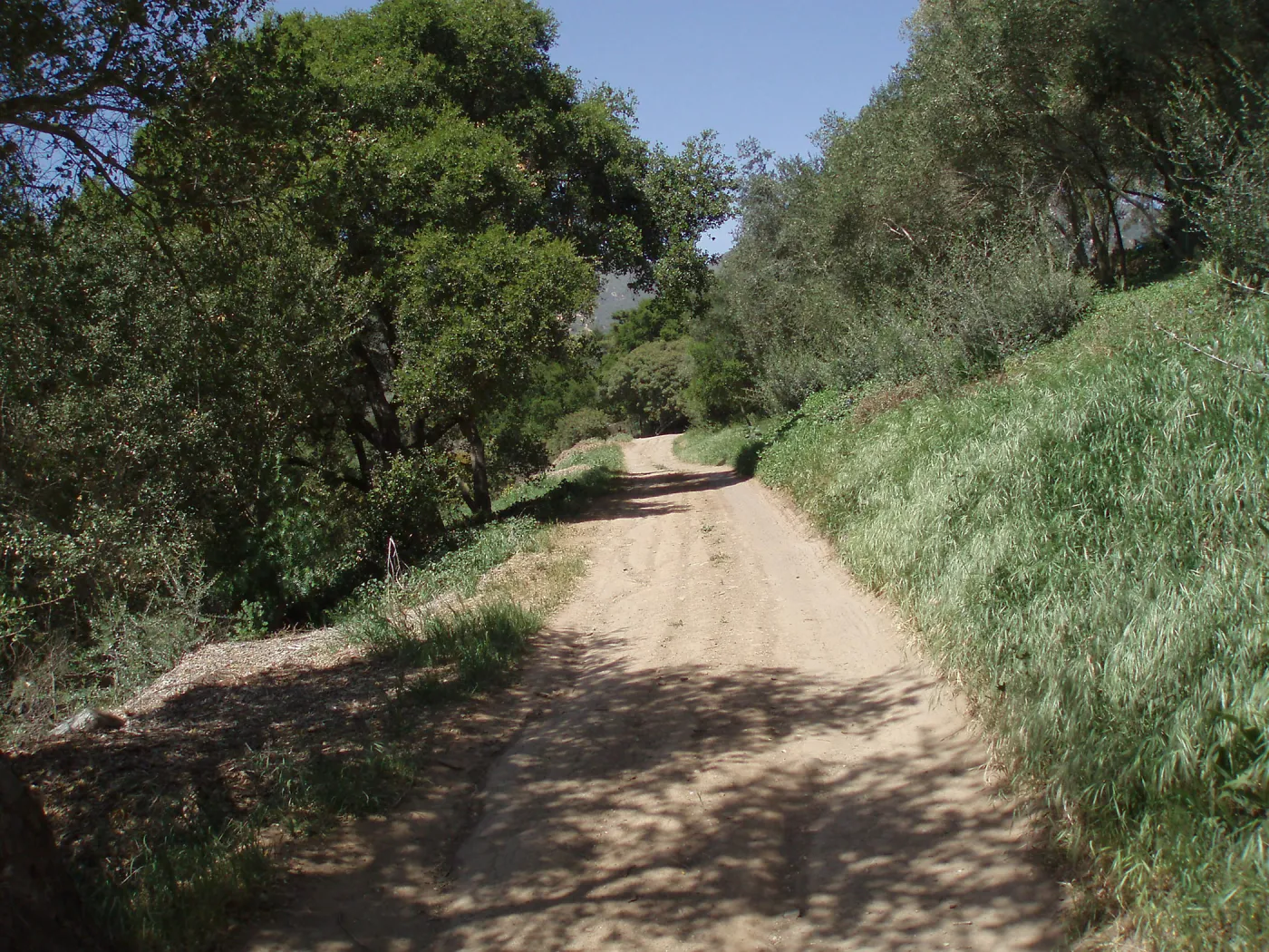 Service road between Gane House and Hansen site