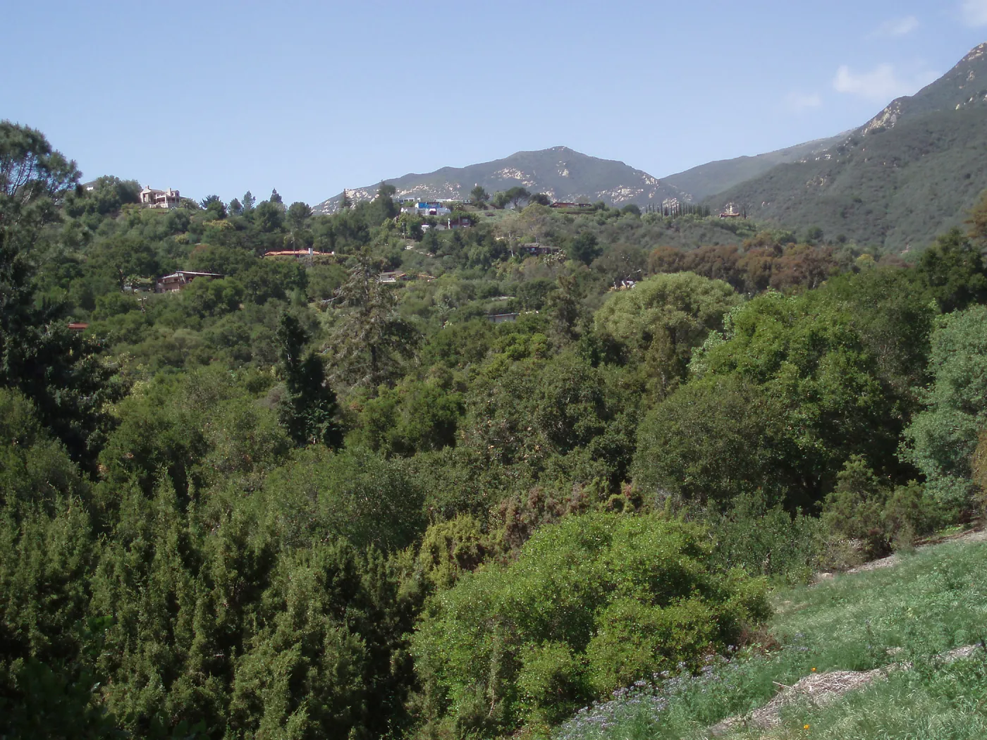 View across Mission Canyon Road looking northwest