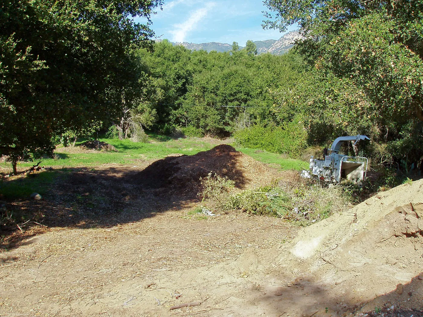 Hansen site