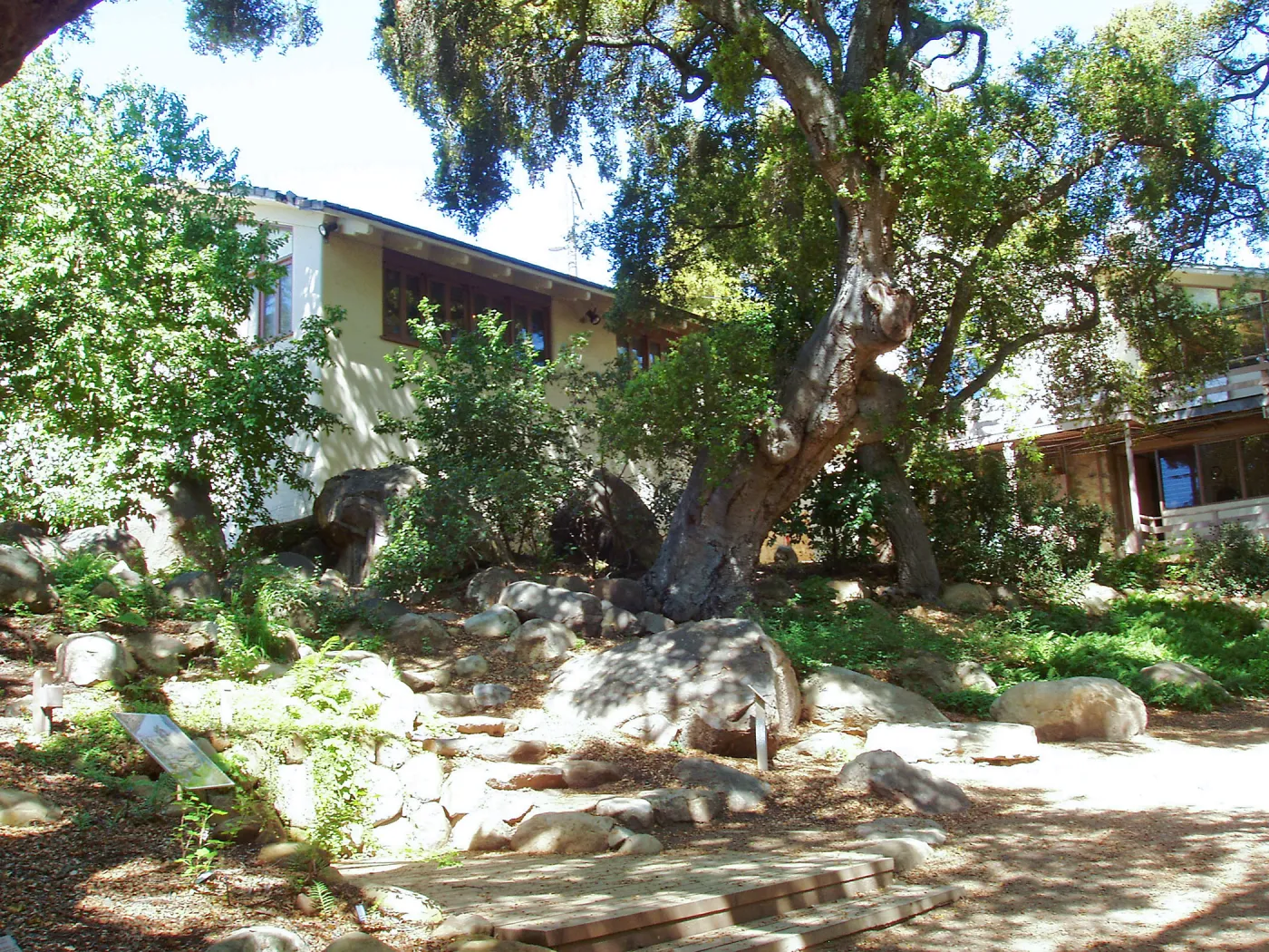 Herbarium east side