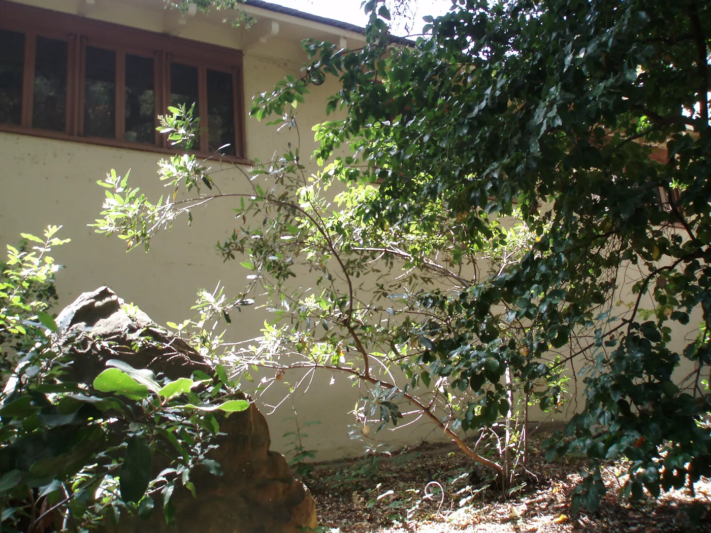 Herbarium east side